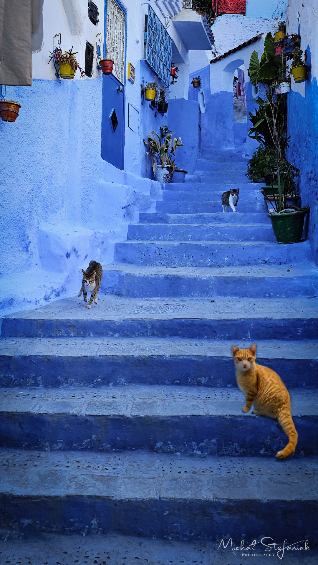 20250213 170338 ai 85